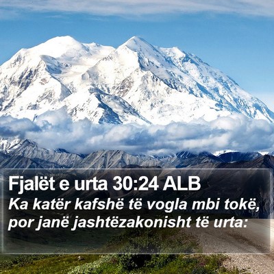 Fjalët e urta 30:24 ALB Bible Verse Image