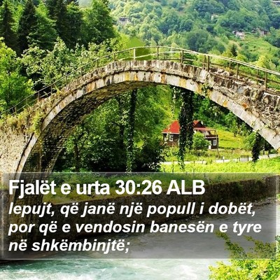 Fjalët e urta 30:26 ALB Bible Verse Image