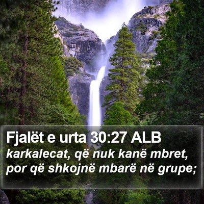 Fjalët e urta 30:27 ALB Bible Verse Image