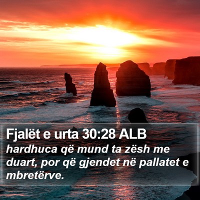 Fjalët e urta 30:28 ALB Bible Verse Image