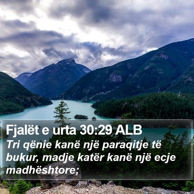 Fjalët e urta 30:29 ALB Bible Verse Image