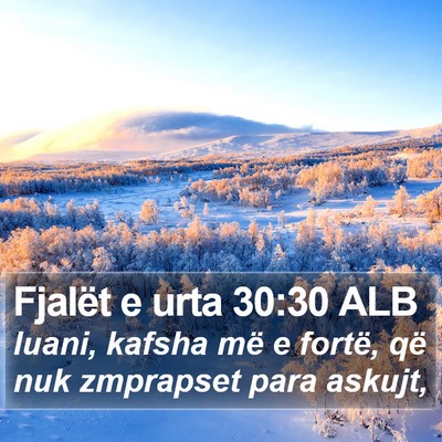 Fjalët e urta 30:30 ALB Bible Verse Image