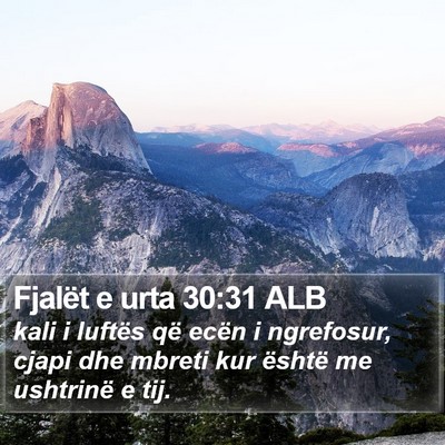 Fjalët e urta 30:31 ALB Bible Verse Image