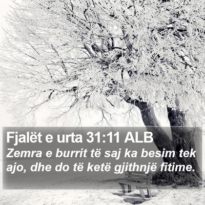 Fjalët e urta 31:11 ALB Bible Verse Image