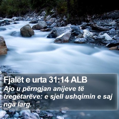 Fjalët e urta 31:14 ALB Bible Verse Image