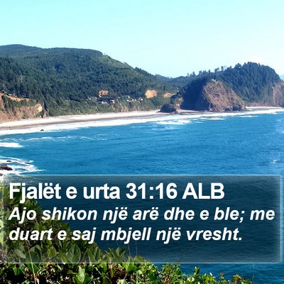Fjalët e urta 31:16 ALB Bible Verse Image