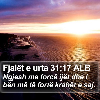 Fjalët e urta 31:17 ALB Bible Verse Image