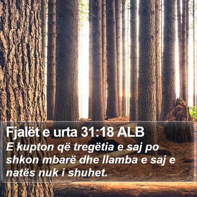 Fjalët e urta 31:18 ALB Bible Verse Image