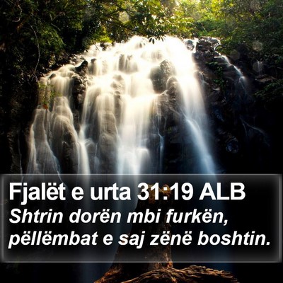 Fjalët e urta 31:19 ALB Bible Verse Image