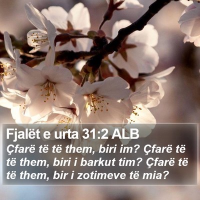 Fjalët e urta 31:2 ALB Bible Verse Image