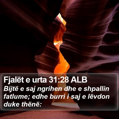 Fjalët e urta 31:28 ALB Bible Verse Image