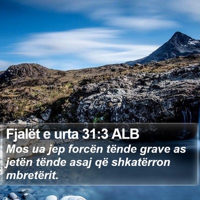 Fjalët e urta 31:3 ALB Bible Verse Image