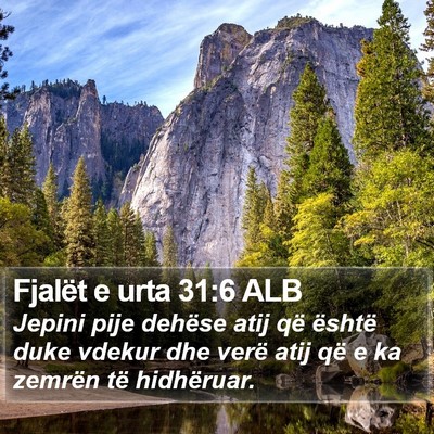 Fjalët e urta 31:6 ALB Bible Verse Image