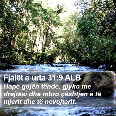 Fjalët e urta 31:9 ALB Bible Verse Image