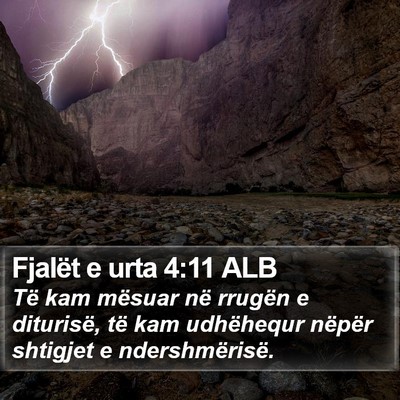 Fjalët e urta 4:11 ALB Bible Verse Image