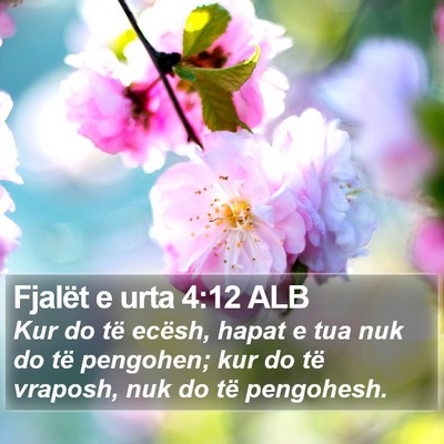 Fjalët e urta 4:12 ALB Bible Verse Image
