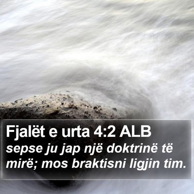 Fjalët e urta 4:2 ALB Bible Verse Image