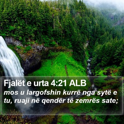 Fjalët e urta 4:21 ALB Bible Verse Image