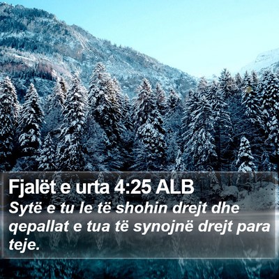 Fjalët e urta 4:25 ALB Bible Verse Image