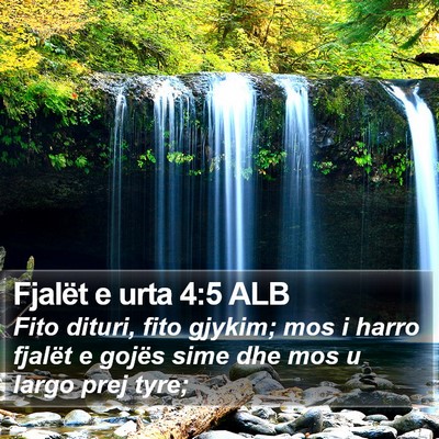 Fjalët e urta 4:5 ALB Bible Verse Image