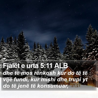 Fjalët e urta 5:11 ALB Bible Verse Image