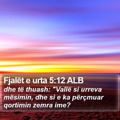 Fjalët e urta 5:12 ALB Bible Verse Image