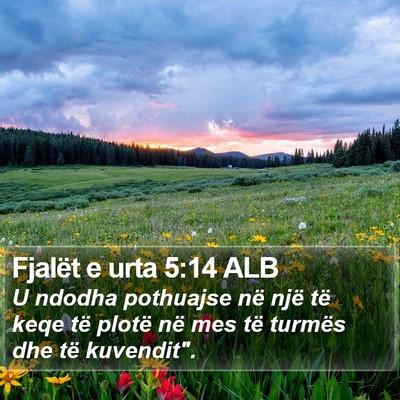 Fjalët e urta 5:14 ALB Bible Verse Image