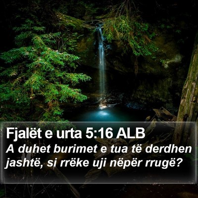 Fjalët e urta 5:16 ALB Bible Verse Image
