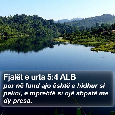 Fjalët e urta 5:4 ALB Bible Verse Image