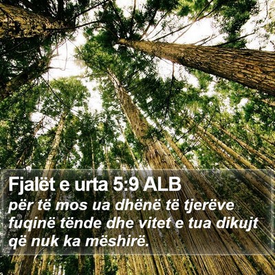 Fjalët e urta 5:9 ALB Bible Verse Image
