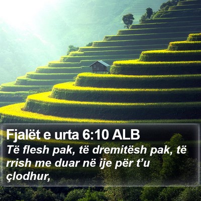 Fjalët e urta 6:10 ALB Bible Verse Image