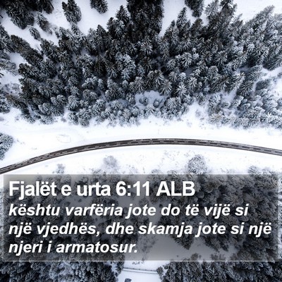 Fjalët e urta 6:11 ALB Bible Verse Image
