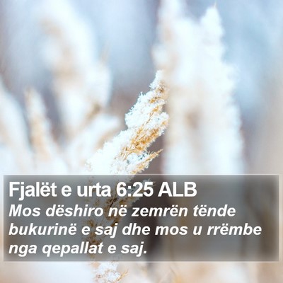 Fjalët e urta 6:25 ALB Bible Verse Image
