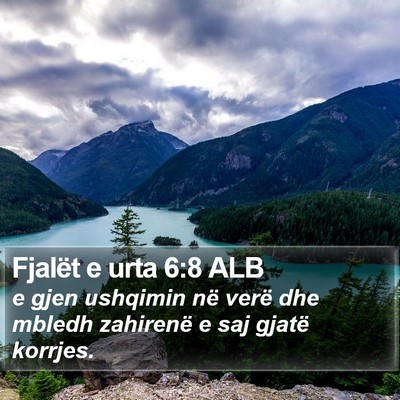 Fjalët e urta 6:8 ALB Bible Verse Image