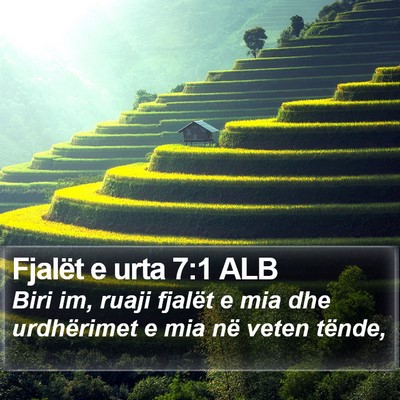 Fjalët e urta 7:1 ALB Bible Verse Image