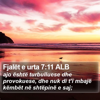 Fjalët e urta 7:11 ALB Bible Verse Image
