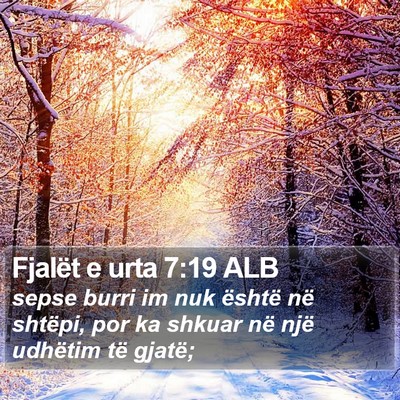 Fjalët e urta 7:19 ALB Bible Verse Image
