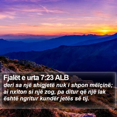 Fjalët e urta 7:23 ALB Bible Verse Image