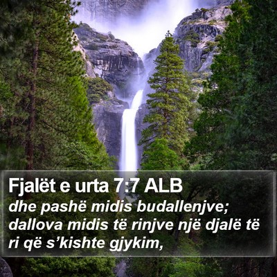 Fjalët e urta 7:7 ALB Bible Verse Image