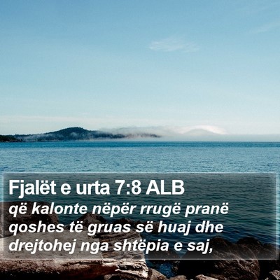 Fjalët e urta 7:8 ALB Bible Verse Image