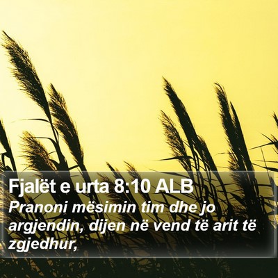 Fjalët e urta 8:10 ALB Bible Verse Image