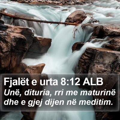 Fjalët e urta 8:12 ALB Bible Verse Image
