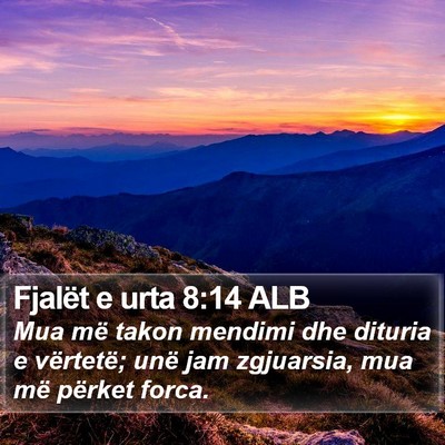 Fjalët e urta 8:14 ALB Bible Verse Image