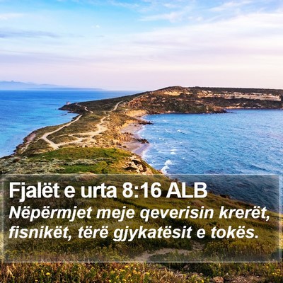 Fjalët e urta 8:16 ALB Bible Verse Image