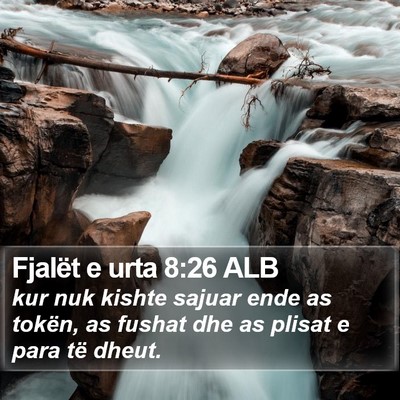 Fjalët e urta 8:26 ALB Bible Verse Image