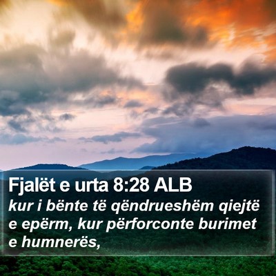 Fjalët e urta 8:28 ALB Bible Verse Image