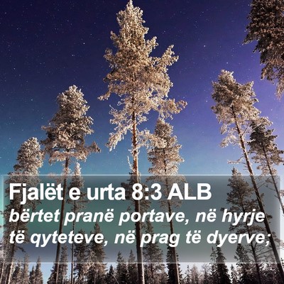 Fjalët e urta 8:3 ALB Bible Verse Image