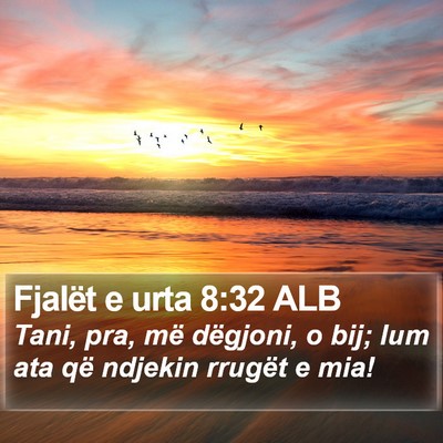 Fjalët e urta 8:32 ALB Bible Verse Image