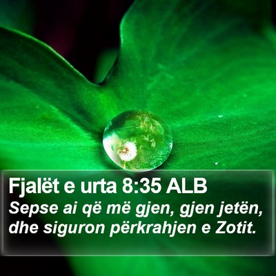 Fjalët e urta 8:35 ALB Bible Verse Image