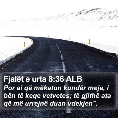 Fjalët e urta 8:36 ALB Bible Verse Image